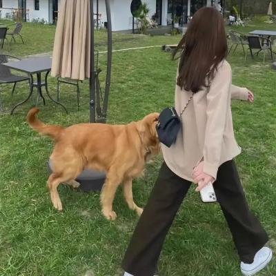 柏拉图关系第二季